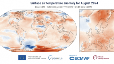 Photo of L’estate 2024 è stata la più calda di sempre: i dati Copernicus