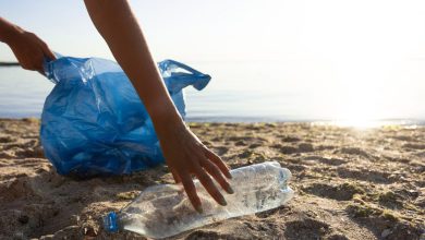 Photo of Plastica, per il 2024 la Terra ha già prodotto troppi rifiuti: i dati del Plastic Overshoot Day