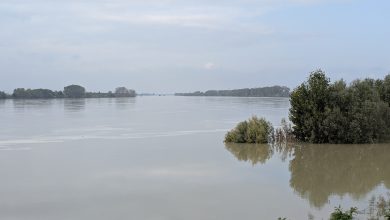 Photo of La piena del Po raggiunge il mare, ma arriva nuovo Maltempo