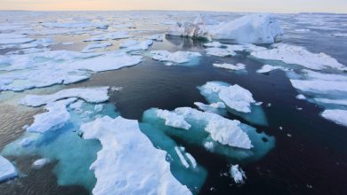Photo of Il riscaldamento nell’Artico accelera quattro volte più velocemente rispetto al resto del pianeta