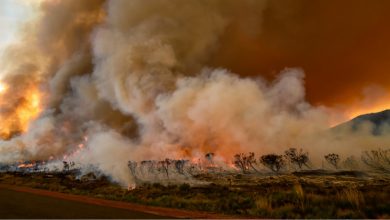 Photo of Incendi a Los Angeles: previsto un aumento dei venti di Santa Ana