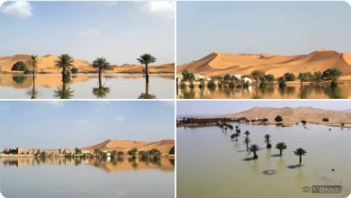 Photo of Piogge eccezionali nel Sahara: il deserto più arido del mondo sotto l’effetto di fenomeni estremi