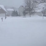 Usa neve