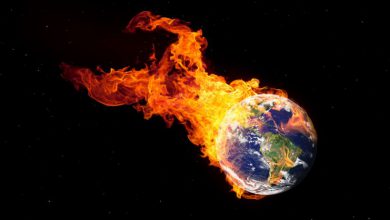 Photo of 2024: anno record per il riscaldamento globale. Dati allarmanti