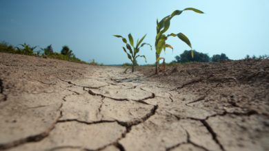Photo of Siccità e migrazioni: un’analisi dell’impatto sociale nei prossimi anni