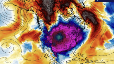 Photo of Usa, l’ondata  di gelo è storica: giornate di ghiaccio per 220 milioni di abitanti