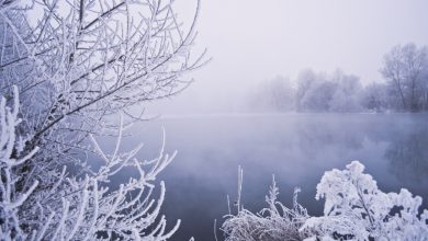 Photo of Ondata di gelo negli Stati Uniti: freddo record e gravi disagi