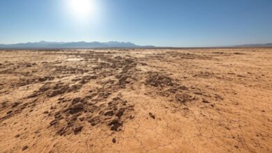 Photo of Ondata di caldo record in Sud America: temperature estreme tra Paraguay, Bolivia e Brasile