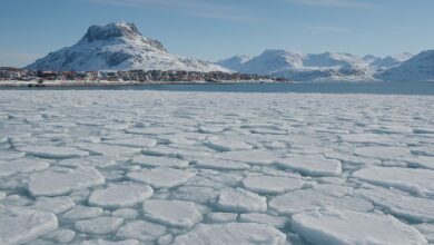 Photo of Record di Caldo a Nuuk: Cambiamento Climatico nell’Artico