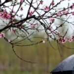 METEO PASQUA PASQUETTA 2025