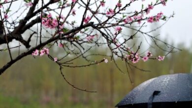 Photo of Pasqua e Pasquetta a rischio pioggia? Le previsioni meteo per l’Italia