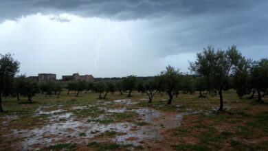 Photo of Maltempo in Puglia: grandinate e inondazioni mettono in difficoltà la regione