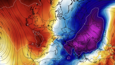 Photo of Europa, pericolosa ondata di gelo tardivo: gli effetti