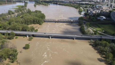 Photo of Piena del Po: il grande fiume è cresciuto 6 metri in due giorni