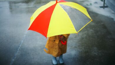 Photo of Meteo 25 aprile: le zone a rischio pioggia nel ponte della Liberazione