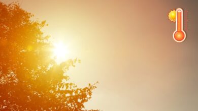 Photo of Arriva una lunga e intensa ondata di calore sull’Italia: picchi di 40 gradi, ecco dove