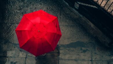 Photo of Meteo weekend: ponte del 25 Aprile tra sole e temporali forti, torna il rischio di grandine!