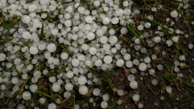 Photo of Maltempo in Piemonte: grandinate intense colpiscono diverse zone