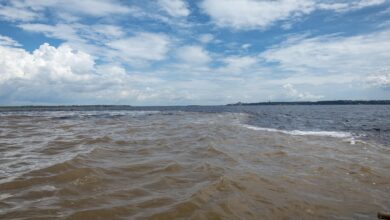Photo of Brasile, dalla siccità alle inondazioni: gli agricoltori brasiliani lottano con il cambiamento del clima in Amazzonia