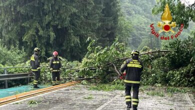 Photo of Maltempo in Piemonte: piogge intense e forti venti creano disagi. Le zone colpite