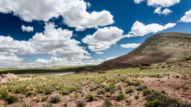 Photo of Caldo invernale record in Sud America: notti tropicali e temperature minime elevate tra Argentina, Bolivia, Paraguay e Brasile