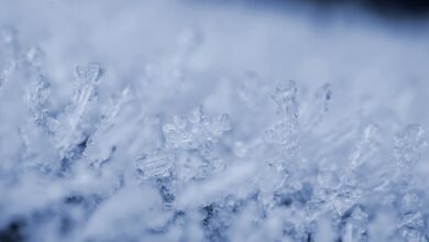Photo of Uruguay, allerta freddo: emergenza per i senzatetto tra gelo e solidarietà