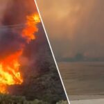 incendi grecia chios
