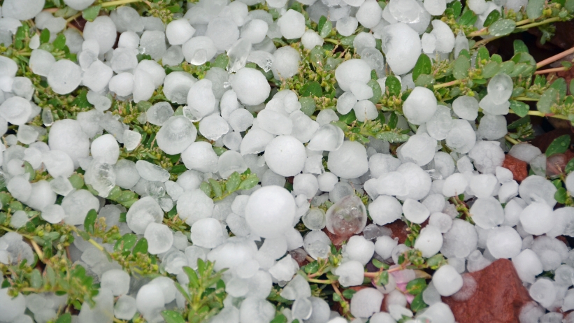 maltempo temporali grandine allerta meteo