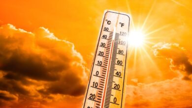 Photo of Meteo weekend: prima ondata di caldo con punte fino a 40 gradi