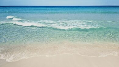Photo of Meteo weekend: sole e caldo in aumento, ma con qualche insidia