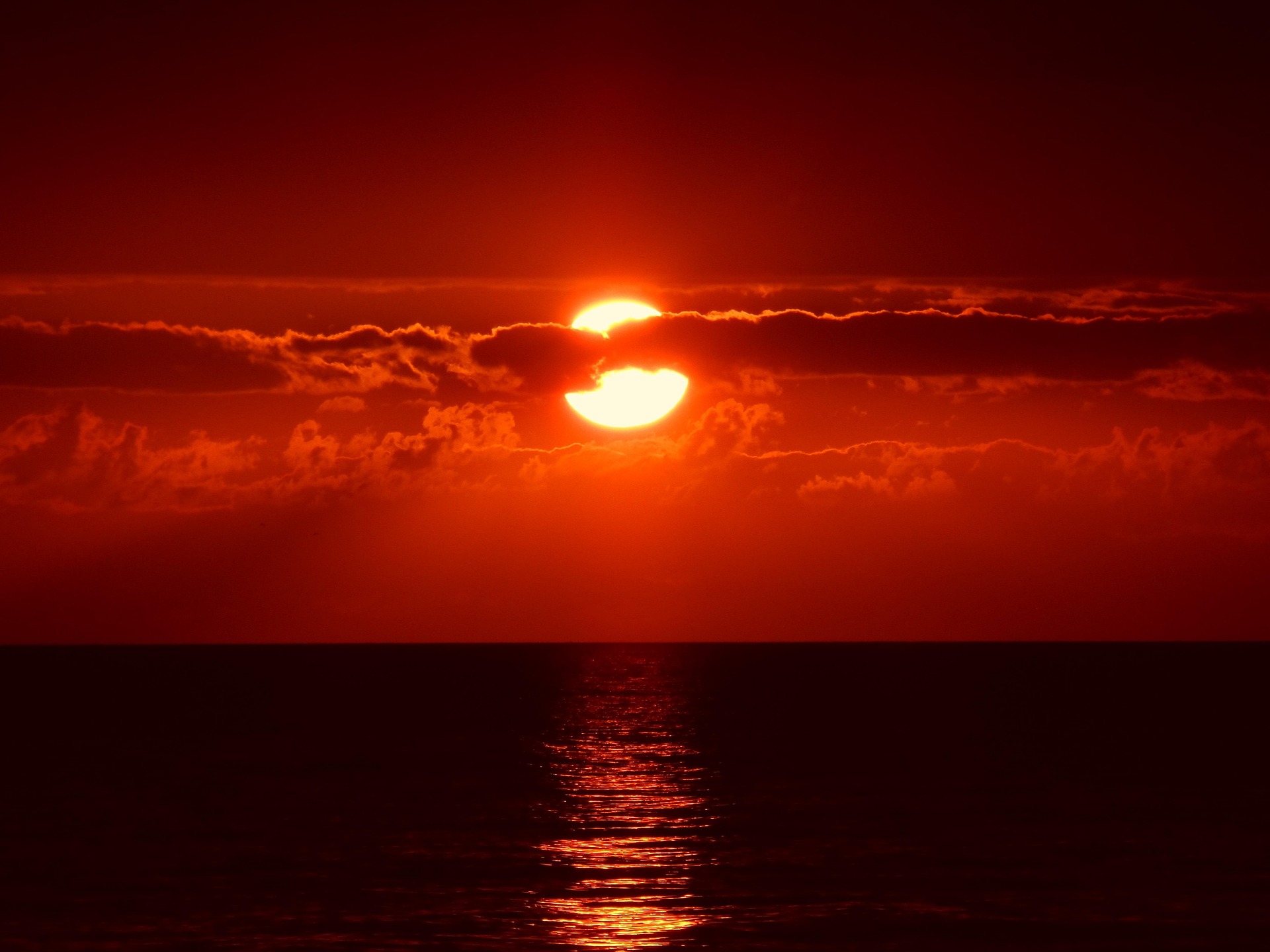 sole