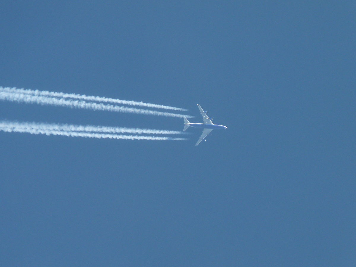 Aereo_passeggeri_in_volo_Credits-Dawid-Skalec_Wikipedia-Creative-Commons