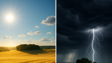 Photo of Maltempo e caldo estremo negli Stati Uniti: piogge torrenziali e la cupola di calore minacciano milioni di persone