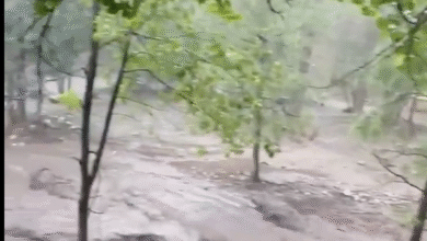 Photo of New Mexico, drammatiche inondazioni improvvise sul Rio Ruidoso: almeno 3 dispersi