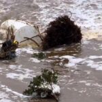 alluvione texas camp mystic vittime e dispersi