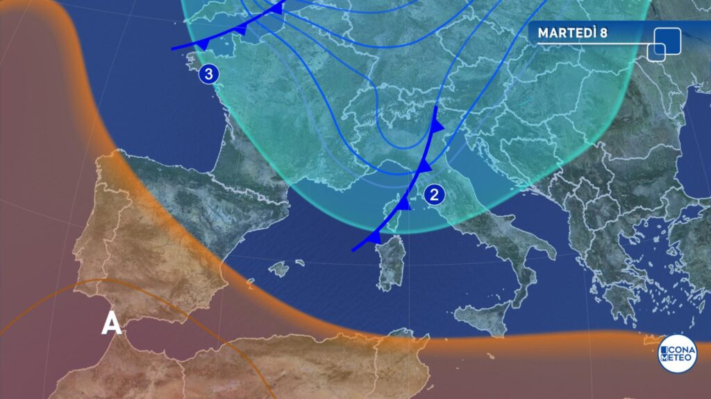 bolla martedì 08/07