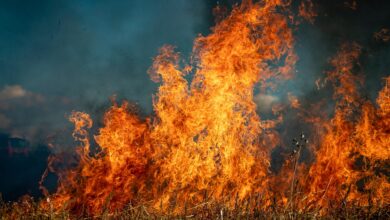 Photo of Incendi devastanti tra Cipro e Turchia: vittime, evacuazioni e caldo estremo