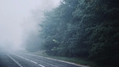 Photo of Meteo in Argentina: nebbia fitta a Buenos Aires blocca voli e paralizza la città