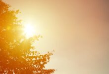 Photo of 2025 tra i tre anni più caldi: gli studi degli scienziati sul climate change