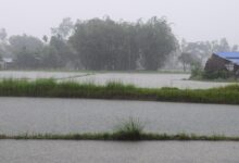 Photo of Fenomeni estremi in Asia: caldo record in Giappone e gravi inondazioni in Cina e Myanmar