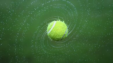 Photo of Ritiro di Tsitsipas all’Atp Vienna: Musetti sfida Medjedovic al primo turno