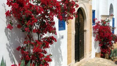 Photo of Valentina Greco ritrovata dopo dieci giorni di ricerche in Tunisia