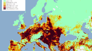 Photo of Creta: incendio alimentato da alte temperature e vegetazione secca