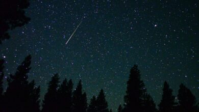 Photo of Notte di San Lorenzo, stelle cadenti: come osservarle e che tempo farà