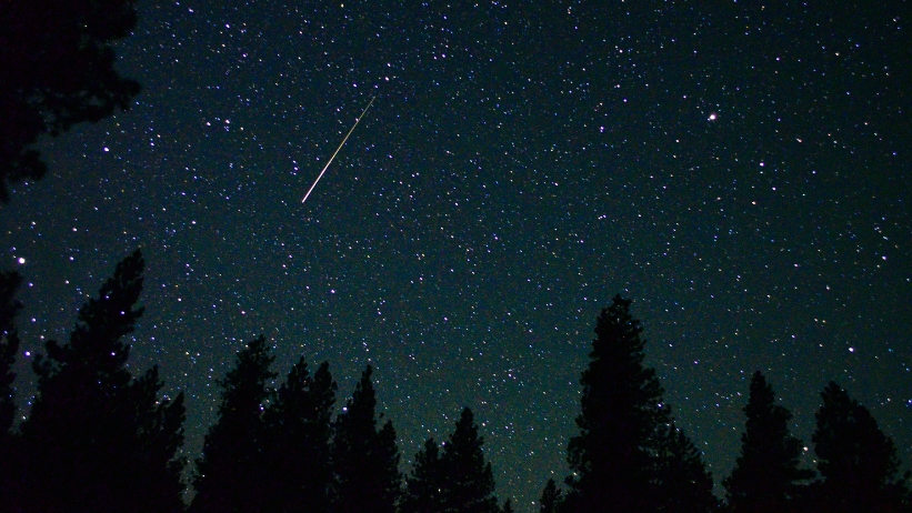 Notte di San Lorenzo stelle cadenti