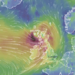 tempesta floris