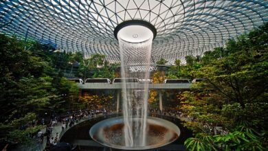 Photo of Le nuotatrici Pilato e Tarantino fermate per furto a Singapore: interviene l’ambasciata