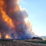 incendio in Francia