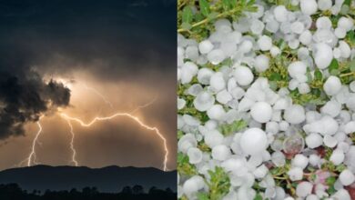 Photo of Allerta meteo Calabria: maltempo e scuole chiuse in diversi di comuni