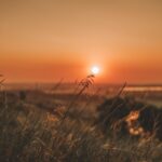 caldo sole tramonto
